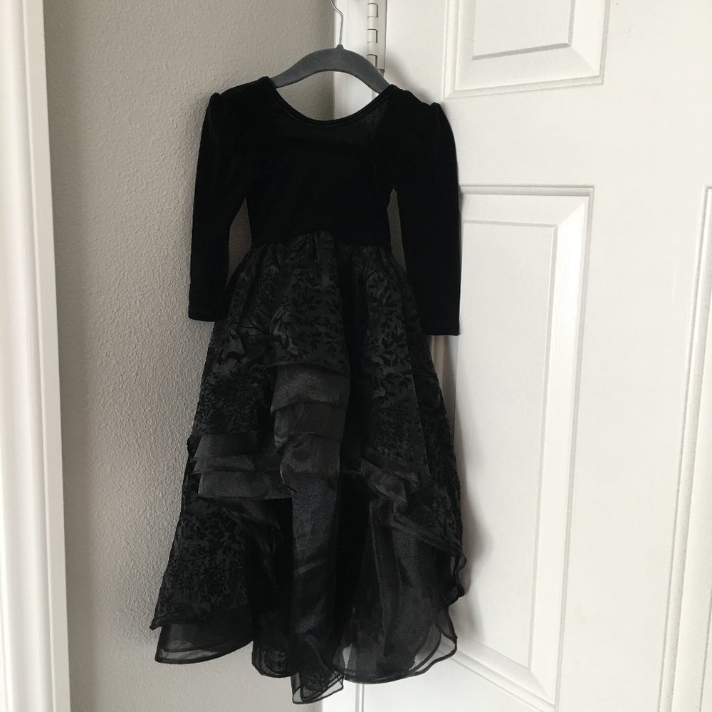 Pleiades dress, black velvet bodice, flocked layered organza skirt, hi low hem